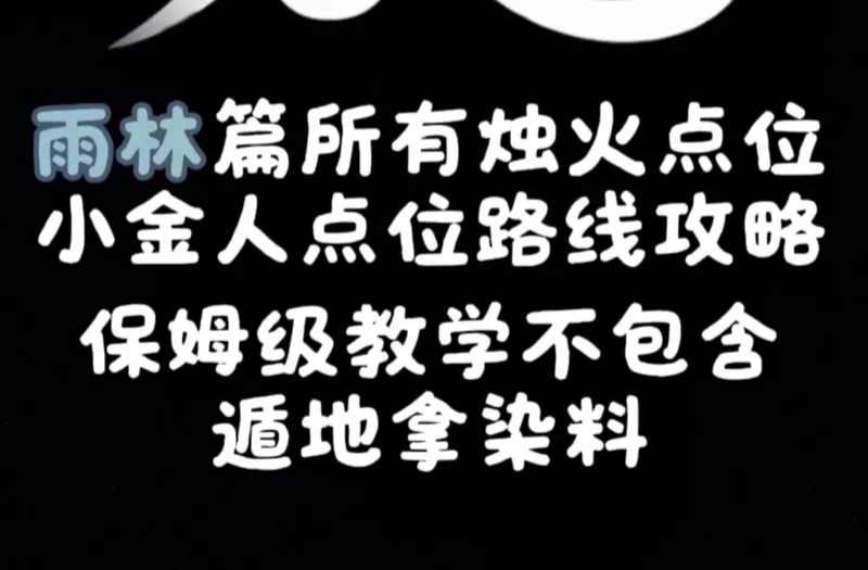 雨林保姆级跑图路线教学攻略