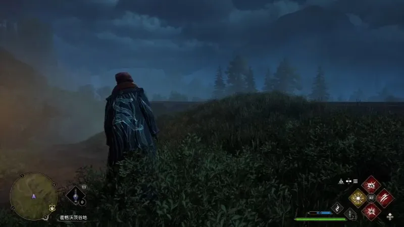 霍格沃兹之遗全收集中文攻略视频解说第五十三章-跟踪蝴蝶（下）