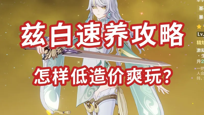 低配爽玩兹白攻略 简单明了一看就懂！！