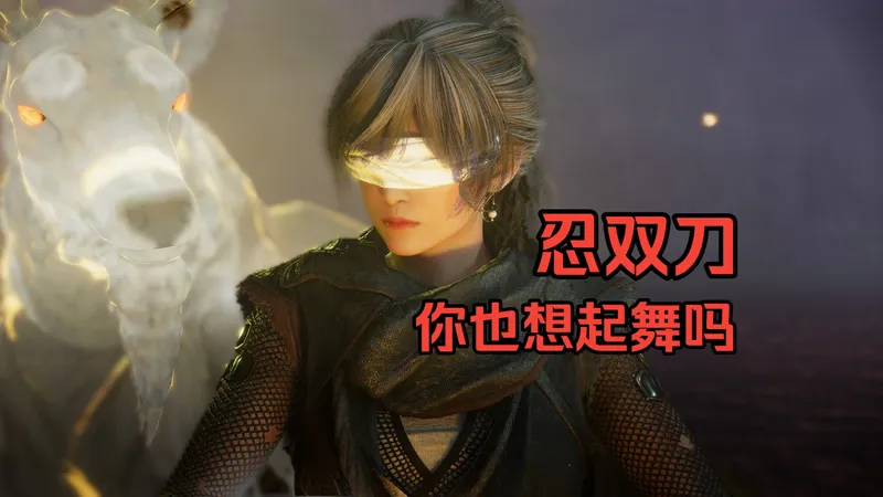 【仁王3】忍双刀入门心得和用法攻略