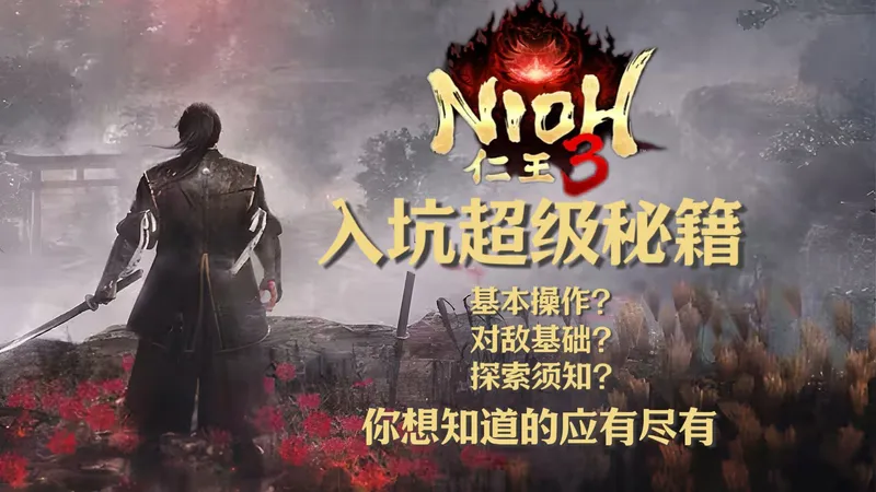 【仁王3】超详细新手入坑攻略