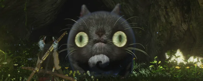 《仁王3》善擦之友成就攻略-首次与久远之隙善擦交换毛球方法