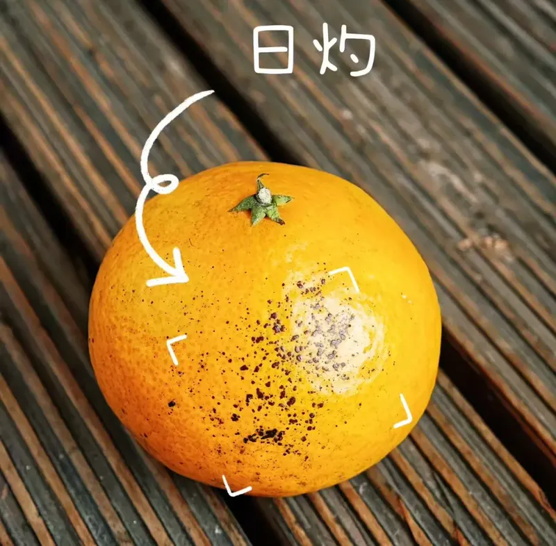 《永劫无间》手游助农行动