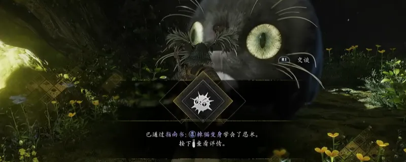 《仁王3》指南书棘猫变身获取方法-久远之隙黑猫交付攻略
