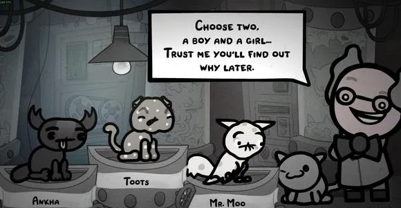 《喵喵的结合》彩蛋大全