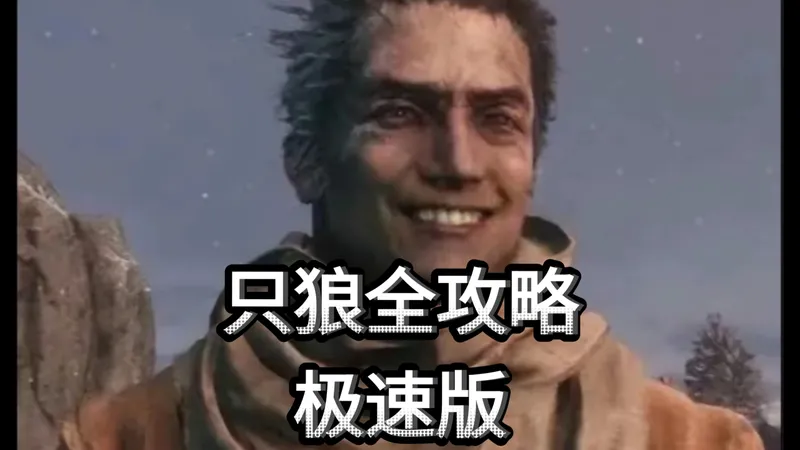 只狼全攻略极速版