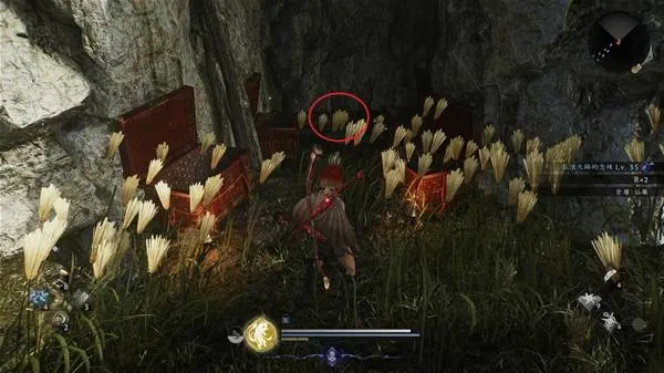 《仁王3》二俣街道全收集品位置详解