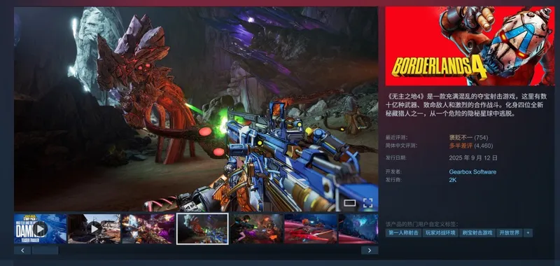 《无主之地4》被破解