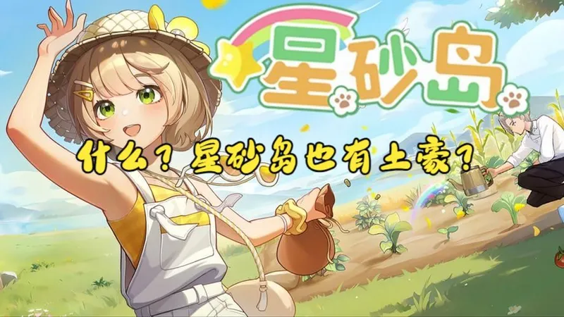 星砂岛首个正经赚钱攻略！日赚百万不再是梦！