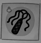 《喵喵的结合》实用装备推荐