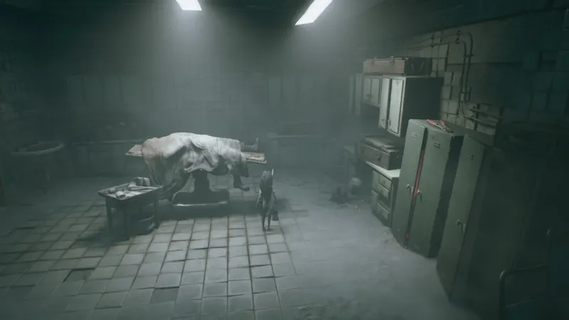 《生灵重塑》战利品收集指南