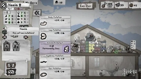 《喵喵的结合》房屋属性详解