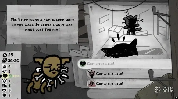 《喵喵的结合》家庭容量管理技巧-有效控制猫群健康