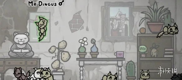 《喵喵的结合》日常管理要点-高效猫群养成指南