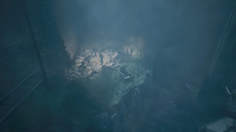 《生灵重塑》水中绝命收集指南