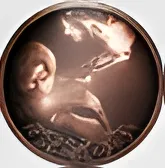 《生化危机9》物超所值成就达成攻略