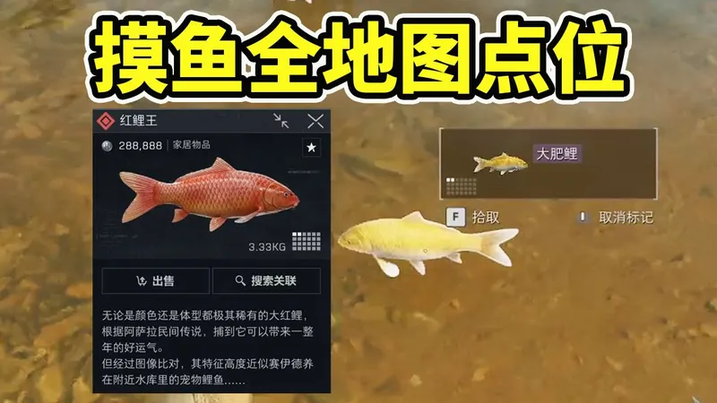 三角洲摸鱼全地图点位！最高红色品质！能赶海抓鱼了【三角洲行动】