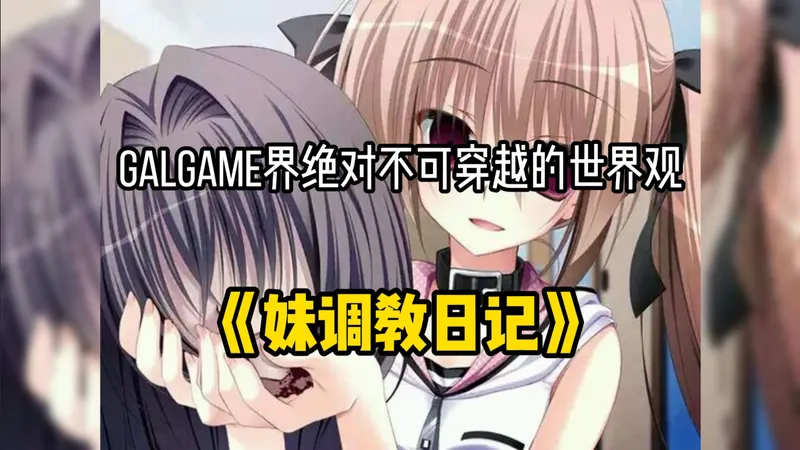 galgame界绝对不可穿越的世界观之《妹调日记》妹控杀手 十二神器中最逆天的galgame！