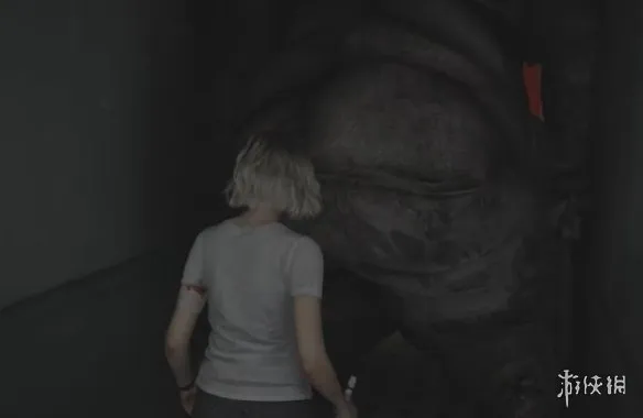 《生化危机安魂曲》监视者挂件获取攻略