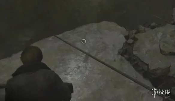 《生化危机安魂曲》全43号植物幼苗位置详解