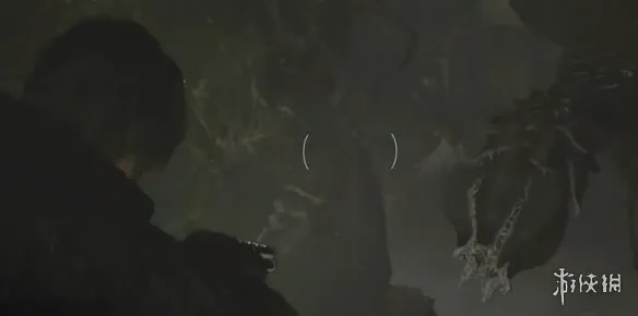 《生化危机安魂曲》全43号植物幼苗位置详解