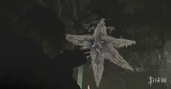 《生化危机安魂曲》全43号植物幼苗位置详解