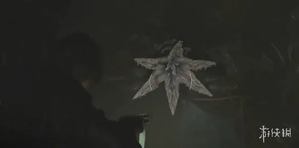 《生化危机安魂曲》全43号植物幼苗位置详解