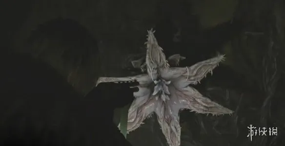 《生化危机安魂曲》全43号植物幼苗位置详解