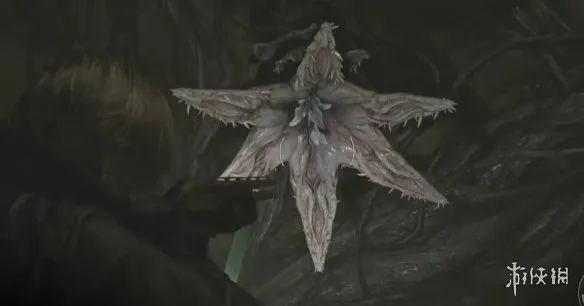 《生化危机安魂曲》全43号植物幼苗位置详解