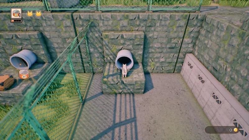 《RuralCatTrails》猫咪探索冒险