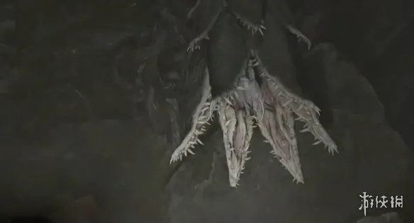 《生化危机安魂曲》全43号植物幼苗位置详解