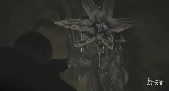 《生化危机安魂曲》全43号植物幼苗位置详解