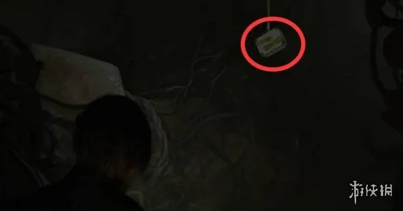 《生化危机安魂曲》43号植物打法详解