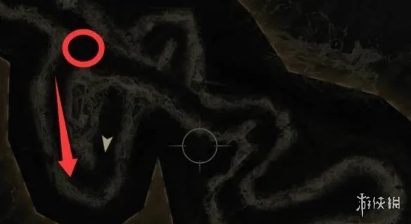 《生化危机安魂曲》43号植物打法详解