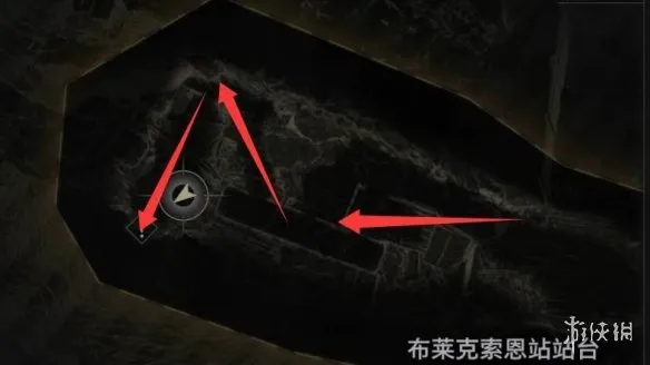 《生化危机安魂曲》43号植物打法详解