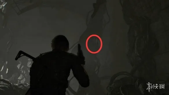 《生化危机安魂曲》43号植物打法详解