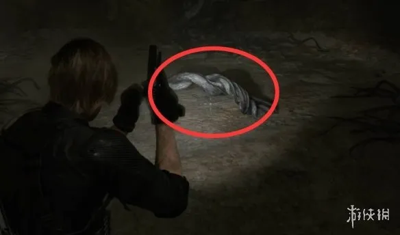 《生化危机安魂曲》43号植物打法详解