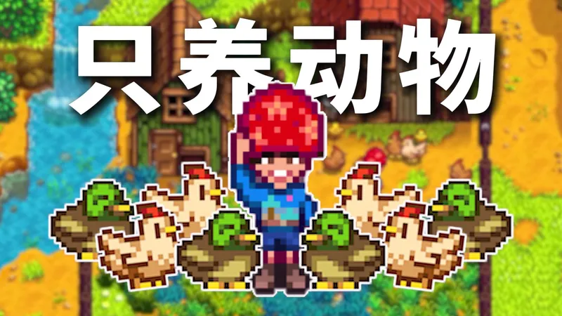 只靠饲养动物赚到100万！升级高级鸡舍，自动化饲养家禽~ 第五期