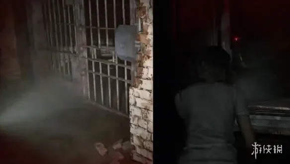 《生化危机9》标准难度与癫狂难度区别详解