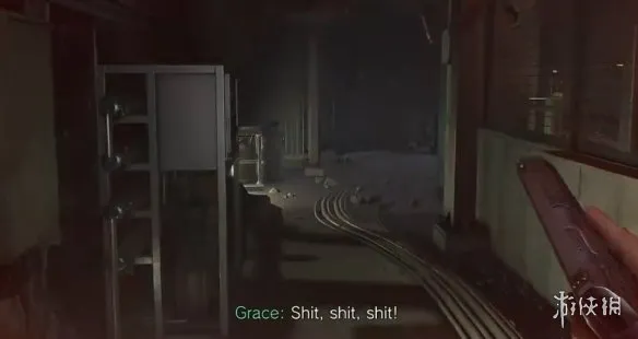 《生化危机9》标准难度与癫狂难度区别详解