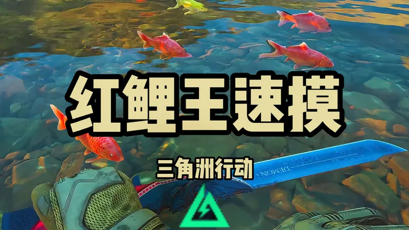 红鲤王速摸-长弓快速摸红鲤王