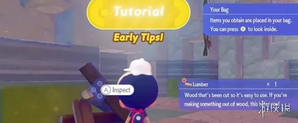 《宝可梦Pokopia》新手教程区域作用解析-收集技巧详解