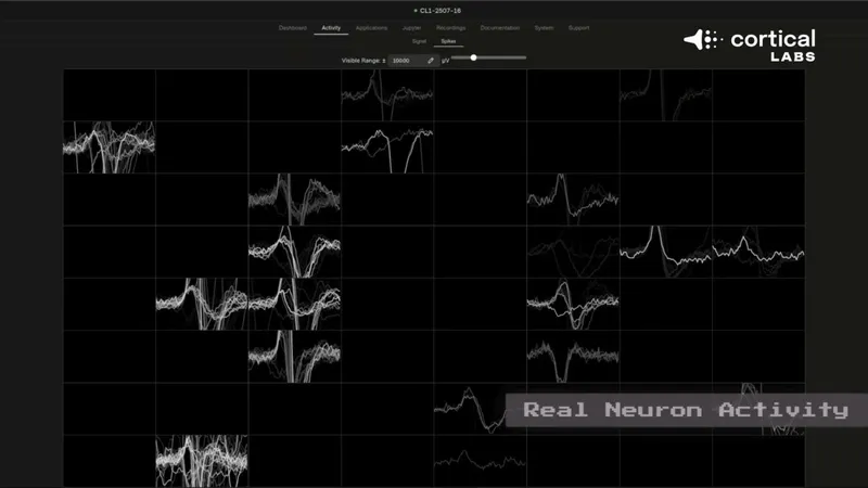《毁灭战士》芯片神经元一周学会游戏