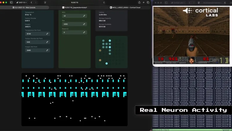 《毁灭战士》芯片神经元一周学会游戏