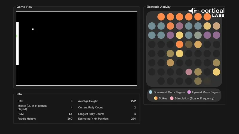 《毁灭战士》芯片神经元一周学会游戏