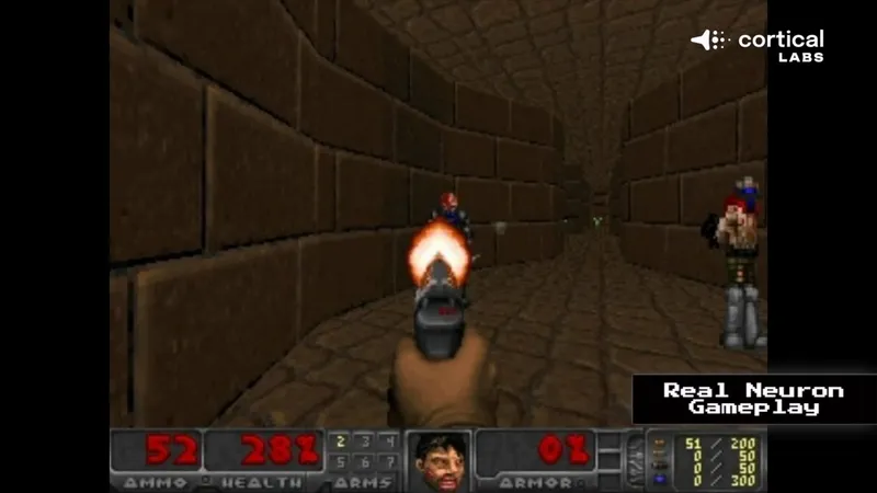 《毁灭战士》芯片神经元一周学会游戏
