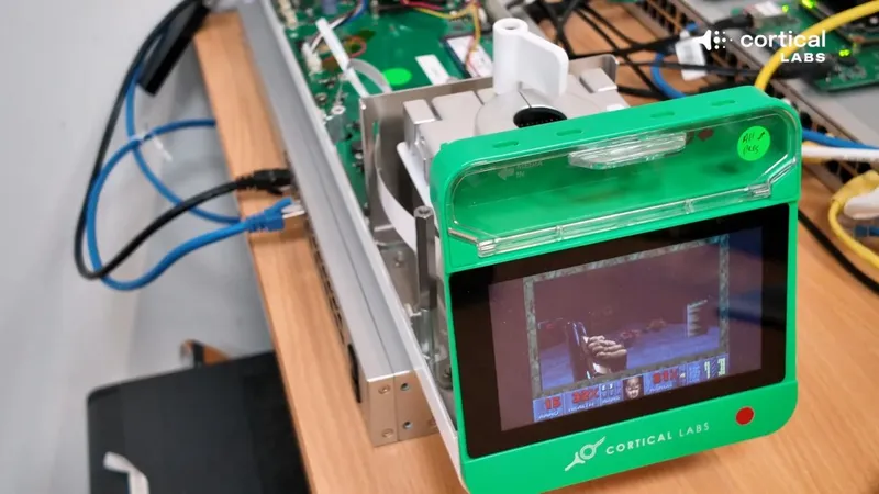 《毁灭战士》芯片神经元一周学会游戏