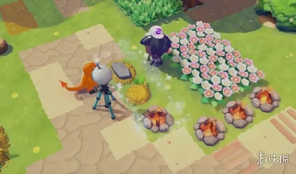 《宝可梦Pokopia》露营组合栖息处解锁攻略