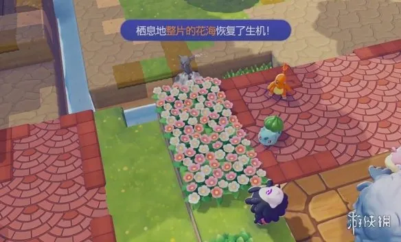 《宝可梦Pokopia》整片的花海栖息处解锁攻略