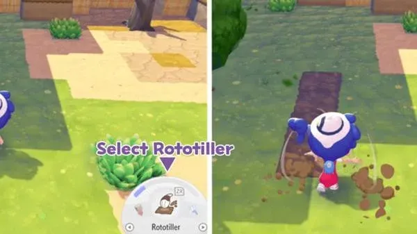 《宝可梦Pokopia》PP值恢复方法